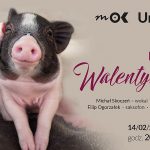 MOK Unplugged: Koncert (niekoniecznie) Walentynkowy