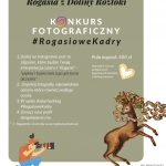 [Piwniczna Zdrój]: Konkurs fotograficzny – 65 Urodziny Rogasia z Doliny Roztoki #RogasioweKadry