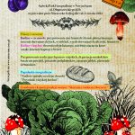 [impreza edukacyjna]: Rośliny użytkowe i jadalne