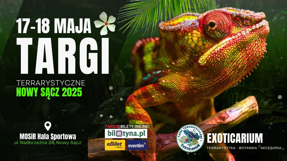[Wydarzenie]:Targi Terrarystyczne Nowy Sącz 2025r