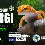 [Wydarzenie]:Targi Terrarystyczne w Nowym Sączu